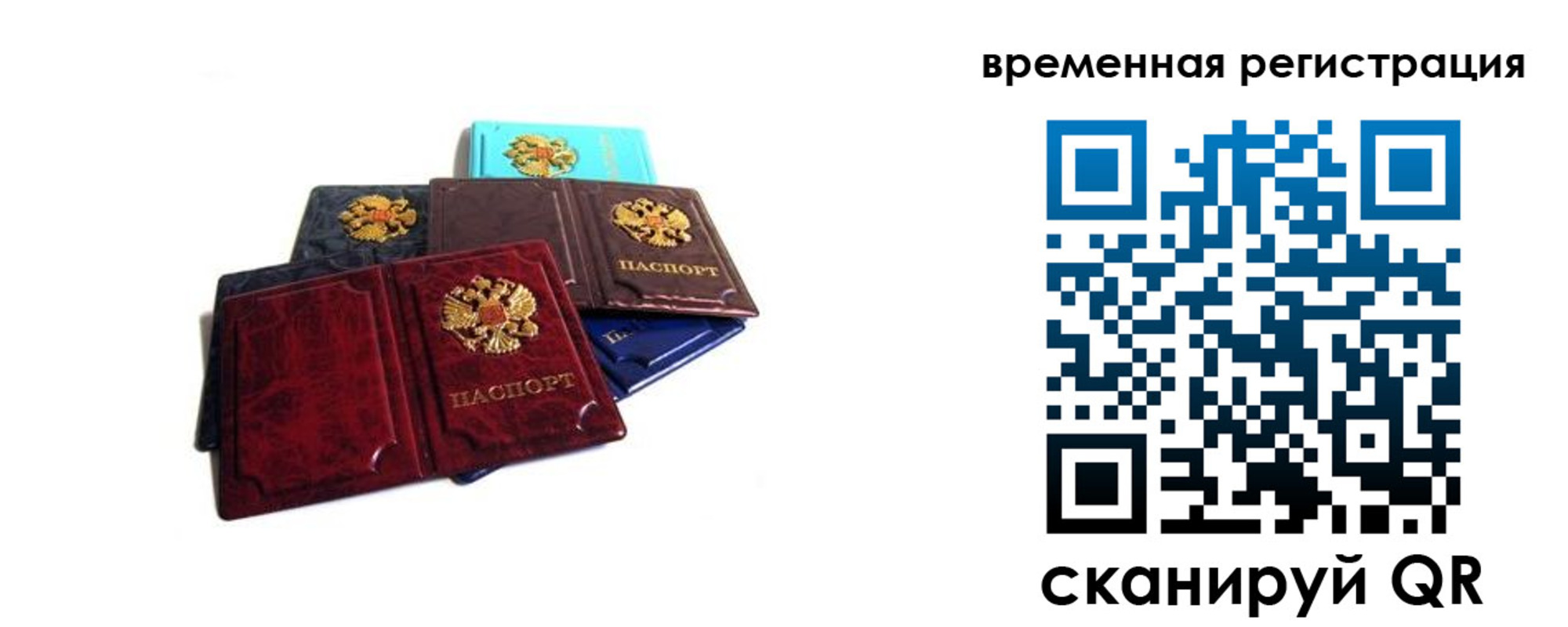 прописка гарантия в Тавде